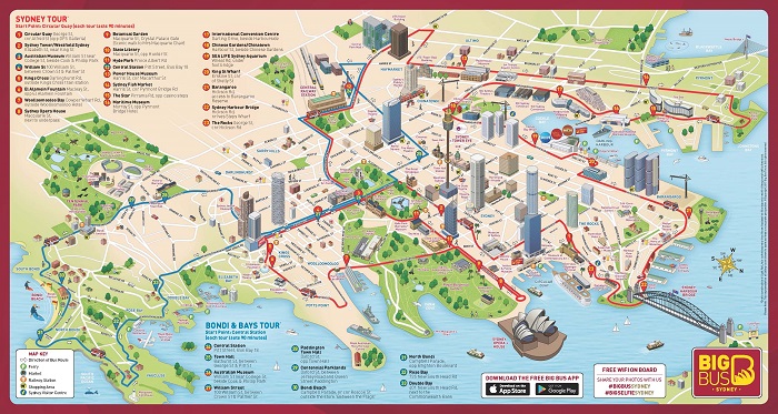 Big Bug Sydney Hop On Hop Off Bus Route Map Small 