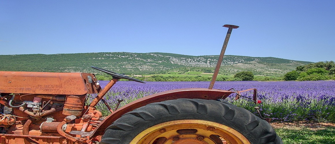 Provence Countryside Small Group Day Trip from Nice