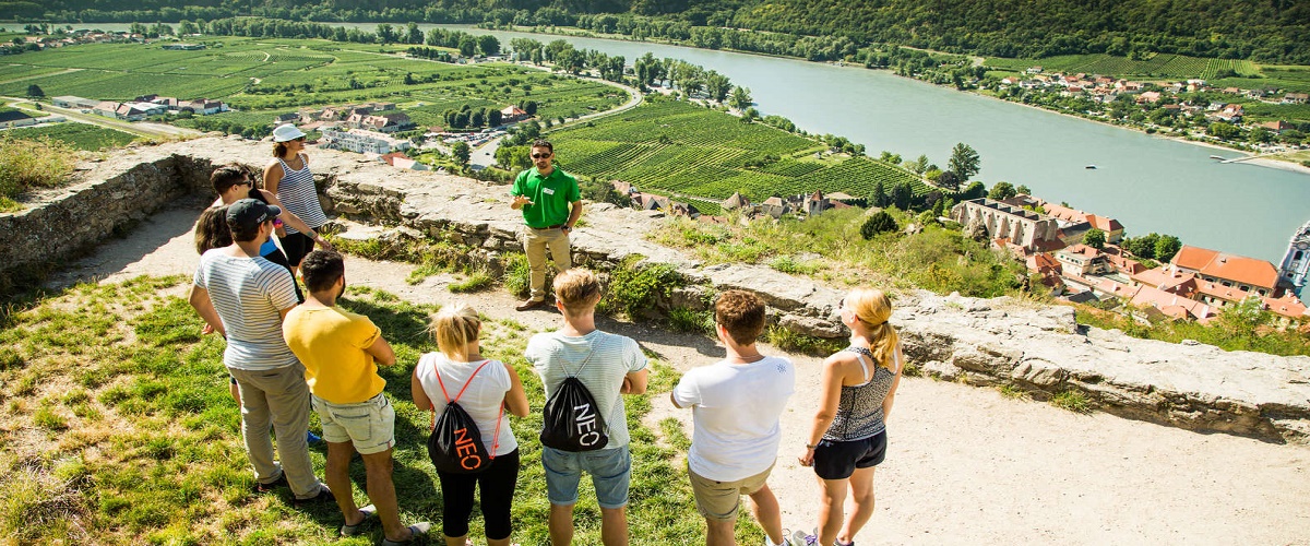 Wachau Valley Wine Tasting Bike Tour from Vienna